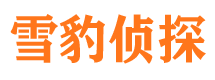 新青市侦探调查公司